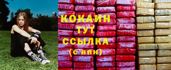 дмт Алзамай