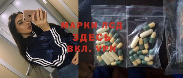 дмт Алзамай