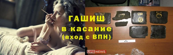 дмт Алзамай