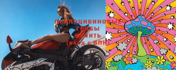 дмт Алзамай