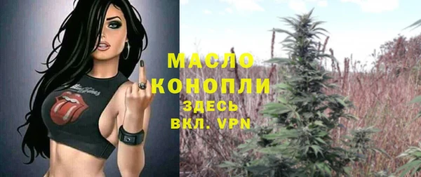 молекула духа Алексеевка