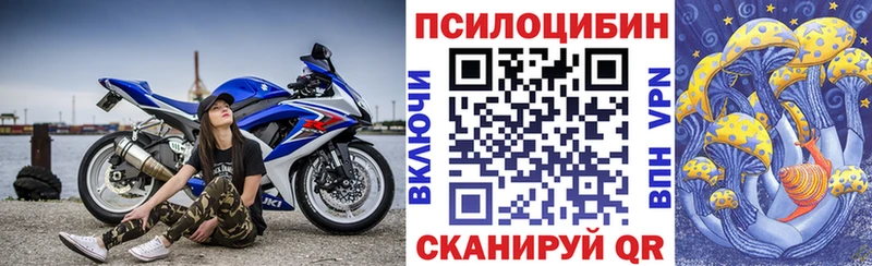 Псилоцибиновые грибы Cubensis  Купить  Микунь 